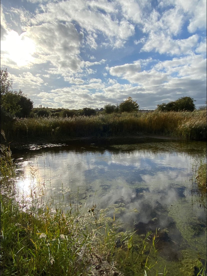 <a href="/sspcampaign/">Save Swanscombe Peninsula SSSI</a> Wednesday autumn walk around Swanscombe Marshland 🌤 Great to see the England Coast Path 😊 hope lots of people enjoy the river walk <a href="/RSPBEngland/">RSPB England</a> <a href="/KentWildlife/">Kent Wildlife Trust</a> <a href="/kent_field/">Kent Field Club</a> <a href="/KentScenes/">Scenes from Kent</a> #AmazingPlaces 💚