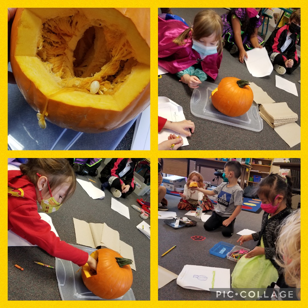 liskaybee's tweet photo. Inspired by the book, Pumpkin Jack, today we started our Pumpkin Throughout the Year #STEM project! @WHSTEMAcademy Students observed and recorded the parts of the pumpkin. Theoughout the year we will observe and record the pumpkin as it goes thru its #lifecycle https://t.co/EabXfKTHEF
