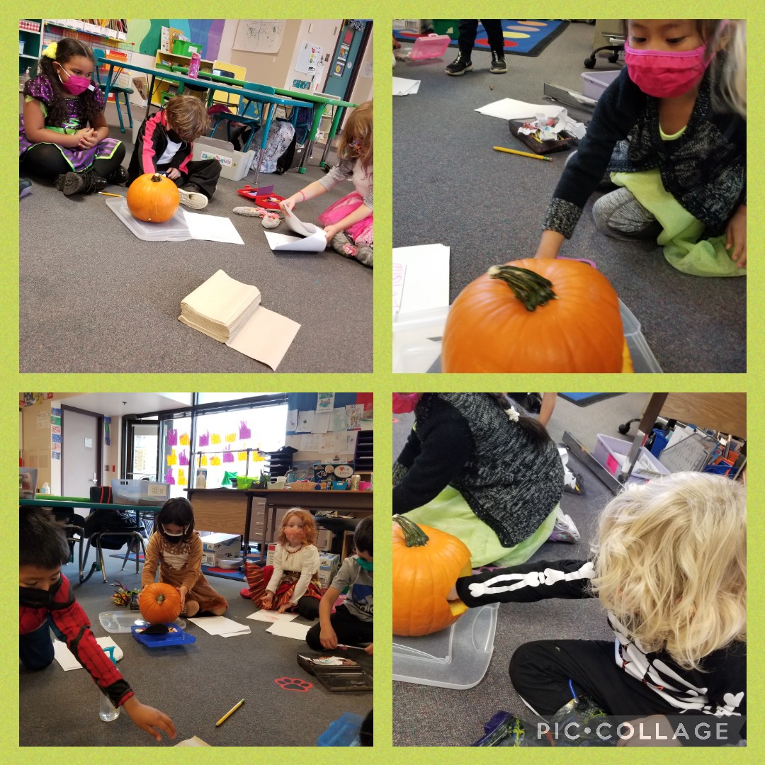 liskaybee's tweet photo. Inspired by the book, Pumpkin Jack, today we started our Pumpkin Throughout the Year #STEM project! @WHSTEMAcademy Students observed and recorded the parts of the pumpkin. Theoughout the year we will observe and record the pumpkin as it goes thru its #lifecycle https://t.co/EabXfKTHEF