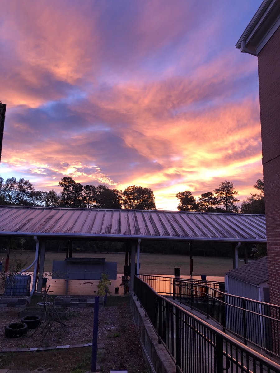 After setting up my outdoor teaching space this morning, I spent 10 minutes watching nature show out.