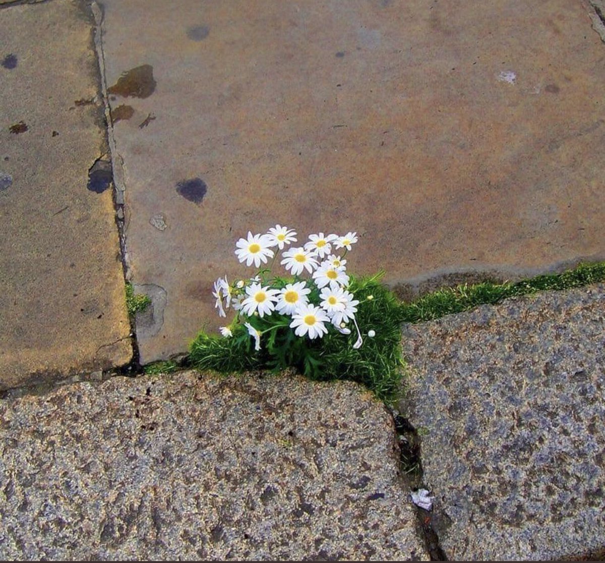 "و إذا أراد الله فلا تسأل عن الأسباب!" ..

#العراق #الله #بغداد 
#طايفيتكم_مانشتريها 
#العرب