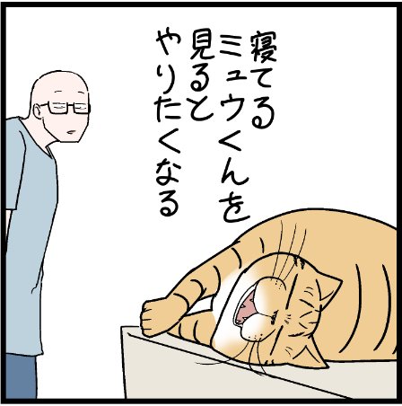 熟睡してるニャンコを見かけるとついやりたくなってしまうw
 #ニャンコ #まんが #マンガ #猫  #ねこ #猫あるある #猫漫画 #ペット #飼い主 #エッセイ漫画 #キャット #ねこのいる生活 #漫画 