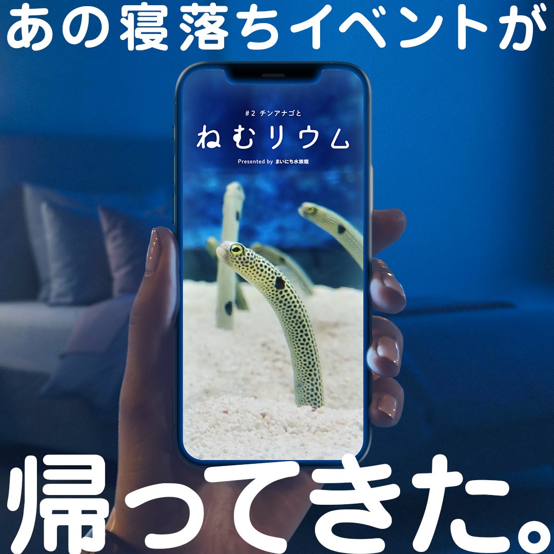 Sumida_Aquarium's tweet photo. 寝落ちイベント、再び！
オオサンショウウオのLIVE配信で列島の眠気を誘ったあの「ねむリウム」がチンアナゴverで帰ってきた！
無数のゆらめきを見ながら眠る幸せを、ぜひ噛みしめてほしい。 
#チンアナゴとねむリウム　#すみだ水族館