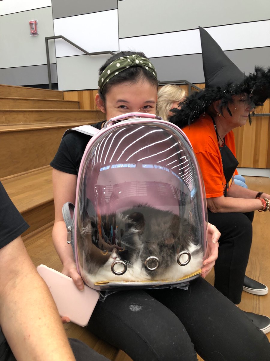 Have you met Gucci- the cat in spaceship backpack? She was so excited to meet lots of little Westies today. She loves our #westfam and a part of #Hallowestie