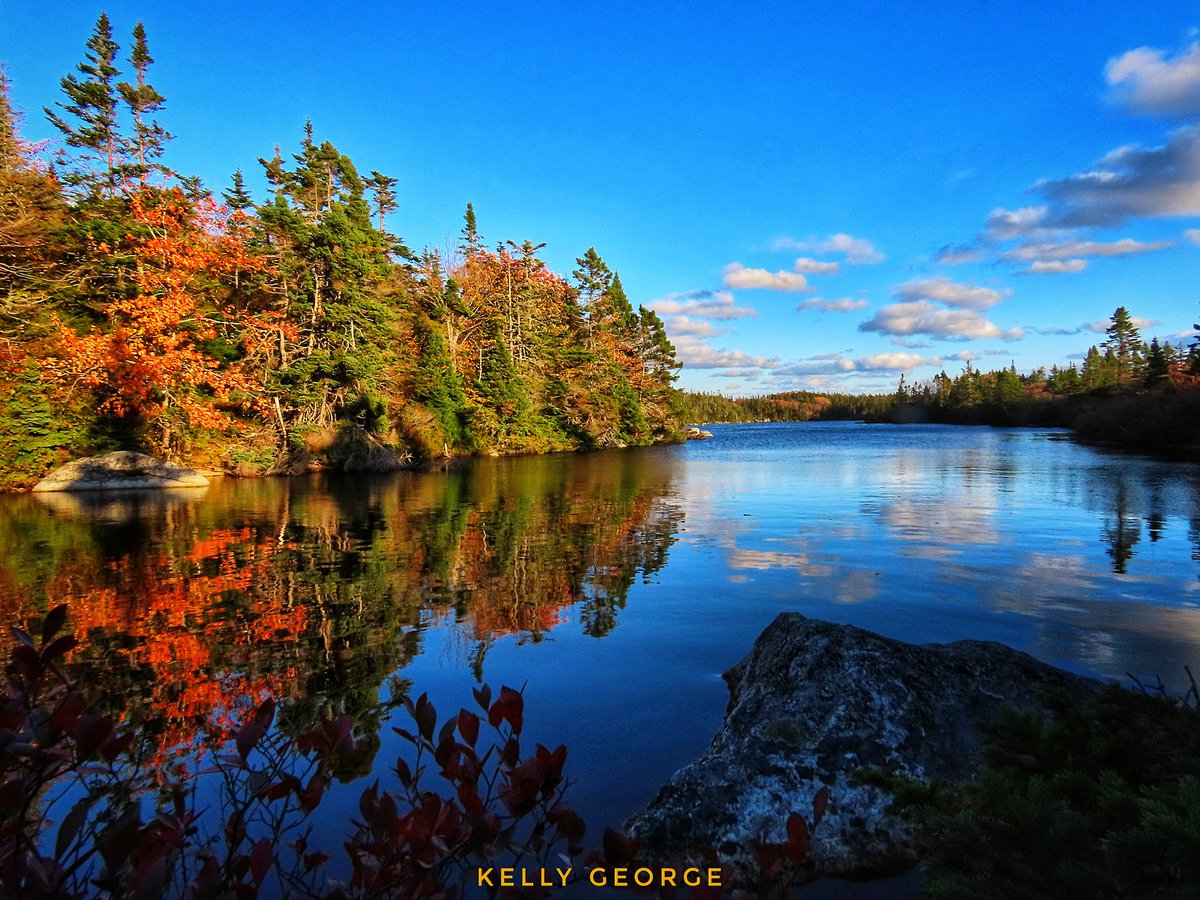 kellygeorge380's tweet photo. Sometimes you just have to get lost in life..... only to come back and find the beauty in it🍂💕 My new found secret spot in the Peggy's Cove Preservation Area...I think I may try and get lost here more often 😍 #nsleafwatch #visitnovascotia #peggyscove https://t.co/FblIaAsWEE