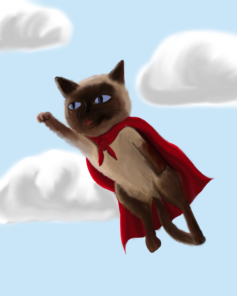 MyCatCoin's tweet photo. Cat Coin to the moon! https://t.co/cVGHtl9Bs8