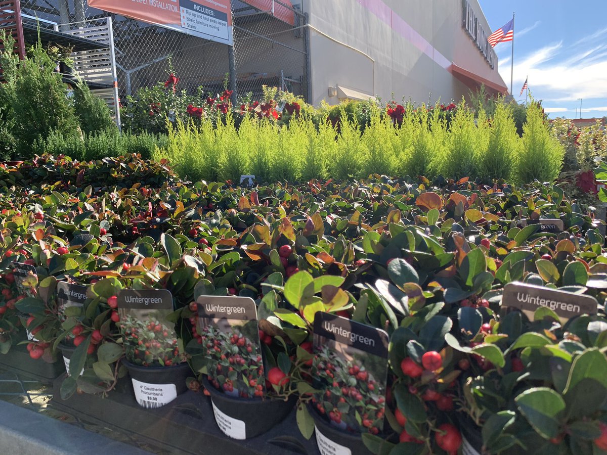 Neal Mattison tweet media