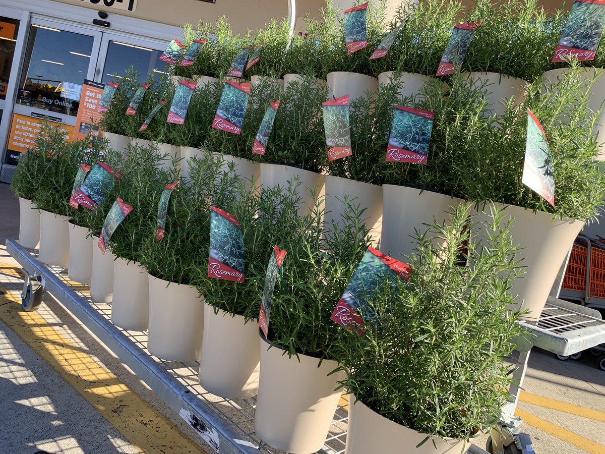 Neal Mattison tweet media