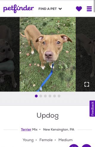 it smell weird in here to you guys?