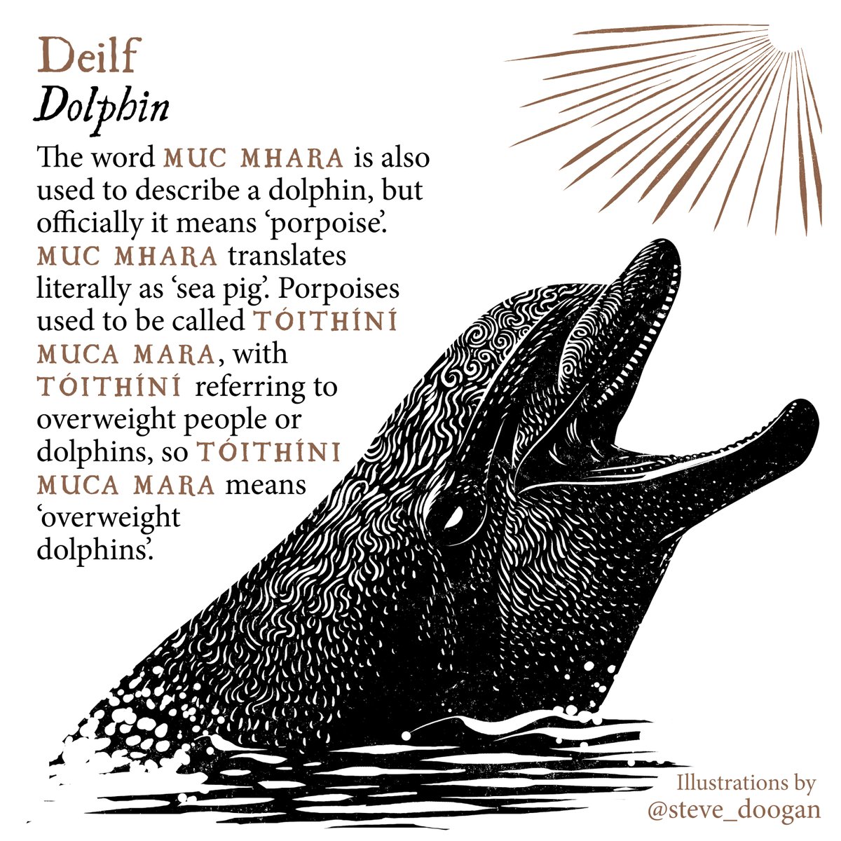 Manchán Magan tweet media