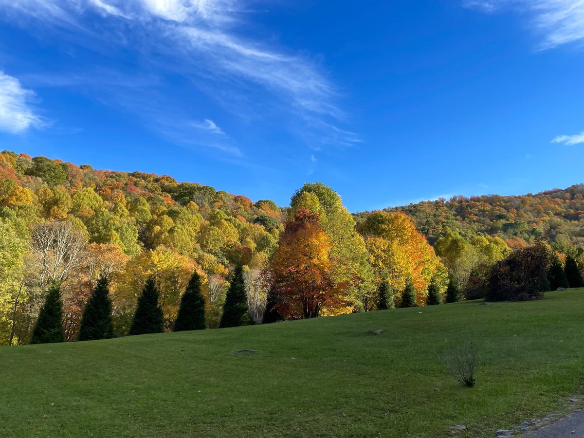 TomNiziol's tweet photo. Everywhere I look in the neighborhood I get another treat!! #fallisbeautiful @wjhl ⁦@weatherchannel⁩ https://t.co/ogSsiFyl8W