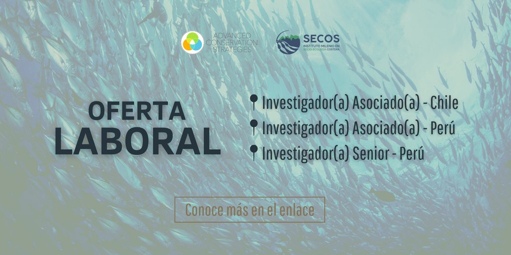 Plataforma Costera (@platcostera) on Twitter photo ¡En <a href="/ACSbuzz/">Advanced Conservation Strategies</a> y <a href="/MilenioSecos/">Instituto Milenio SECOS</a> están buscando investigadores! Conoce todo en los enlaces ⬇️
📌Investigador/a Asociado/a - Chile: bit.ly/3vNr7D3
📌Investigador/a Asociado/a - Perú: bit.ly/3176pCR
📌Investigador/a Senior - Perú: bit.ly/3Co85FH ¡En <a href="/ACSbuzz/">Advanced Conservation Strategies</a> y <a href="/MilenioSecos/">Instituto Milenio SECOS</a> están buscando investigadores! Conoce todo en los enlaces ⬇️
📌Investigador/a Asociado/a - Chile: bit.ly/3vNr7D3
📌Investigador/a Asociado/a - Perú: bit.ly/3176pCR
📌Investigador/a Senior - Perú: bit.ly/3Co85FH
