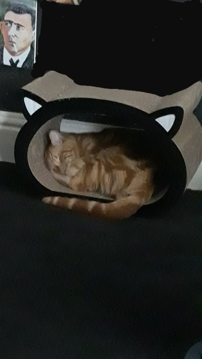 mariafloridia's tweet photo. Shittest hiding place ever!! I can still see you #AlanFloridia https://t.co/APzIIM6pN0