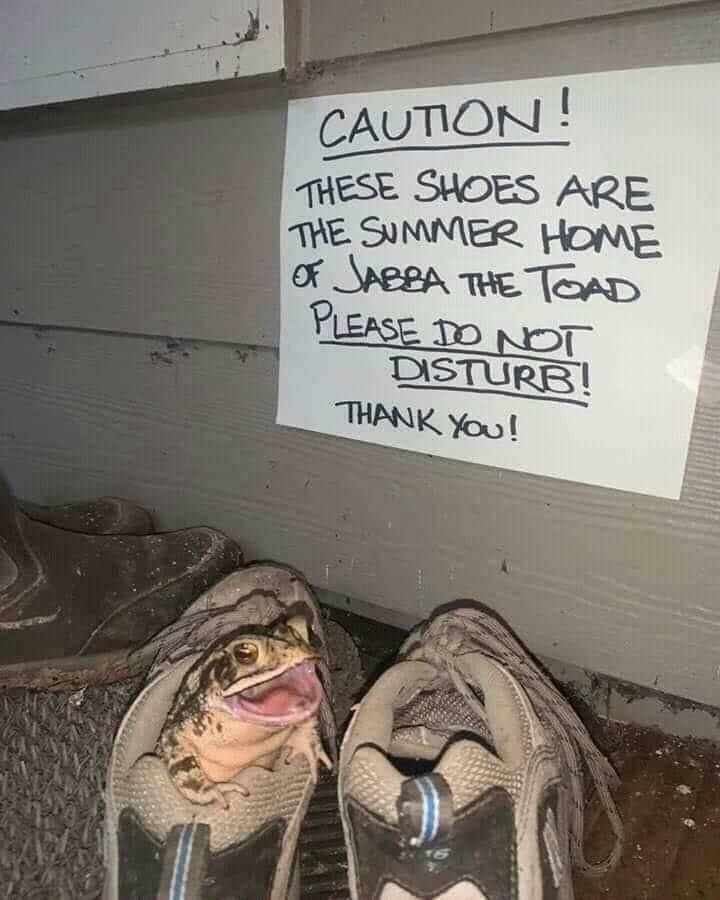 WholesomeMemes tweet media