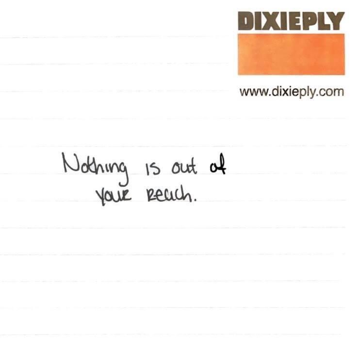 Dixieply's tweet photo. Whatever you want out of life is achievable. It's not out of your reach I promise.

#DIXIEPLY #DIXIEPLYOfFlorida https://t.co/tkCWQfmtxb