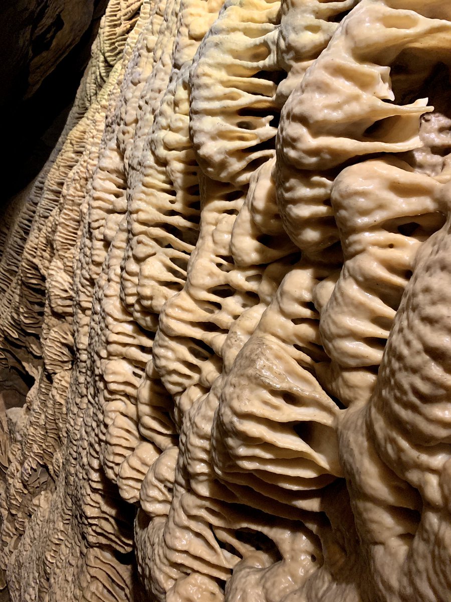 PaoloFanShauna's tweet photo. Just walking around underground #ForbiddenCaverns #caverns #cave https://t.co/6v37pZb6Gm