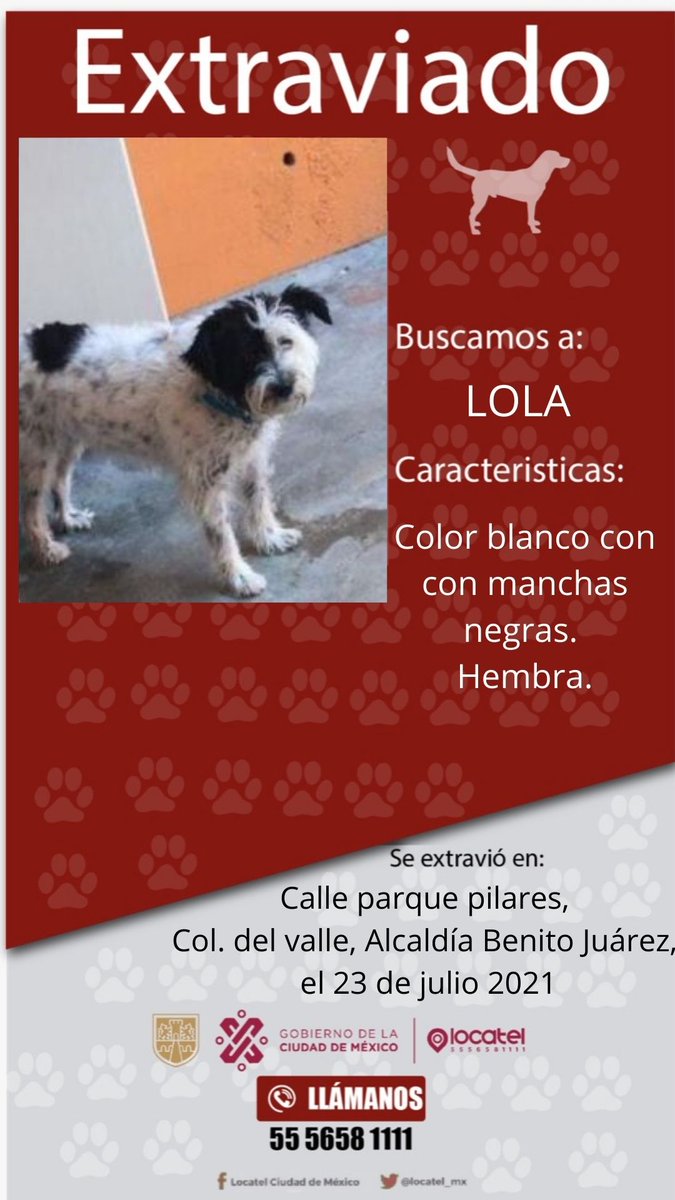 ¡Lola está extraviada 🐾!

Ayúdala a regresar a casa. 🏡

Si la encuentras, comunícate a nuestra línea al 𝟓𝟓 𝟓𝟔𝟓𝟖 𝟏𝟏𝟏𝟏☎️ disponible las 24/7.