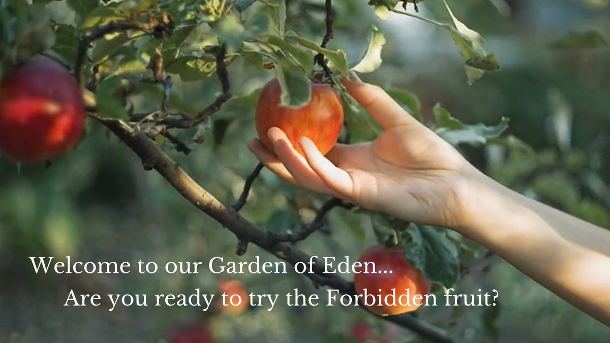 ForbiddenVodka's tweet photo. We’ve spent years crafting a unique brand and that brand begins with the fresh, local Okanagan apples. 

As we prepare for growth across Canada and internationally, we’re inviting you to join us as co-owners. 

For more info visit: https://t.co/u3r2HpAmKb https://t.co/ZokG1KEgMG