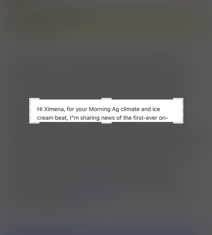 Ximena tweet media