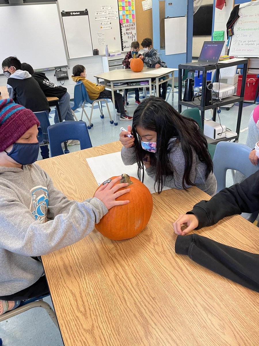 214Frimm's tweet photo. Learning about quantitative vs qualitative data so that we can accurately record our observations! @AllenbyPS_TDSB #SpookyScience #ThisIsMath #tdsb https://t.co/3YvNFKuurM