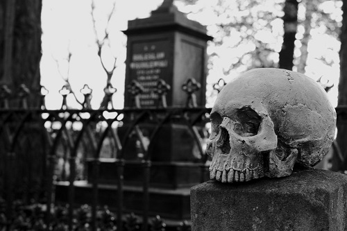 PulpNew's tweet photo. Before #MidnightMass gave you Father Paul, we gave you Mark Holly. Read his 2 part tale and get in the Spooky Spirit.
https://t.co/2BKk4y512g
#Halloween #Halloween2021 #Spookyseason #Spooky #Horror #HorrorStories #Horroween #NewPulp #Pulp #PulpTales #WeirdTales #Netflix #Priest https://t.co/Jq7CavoulW