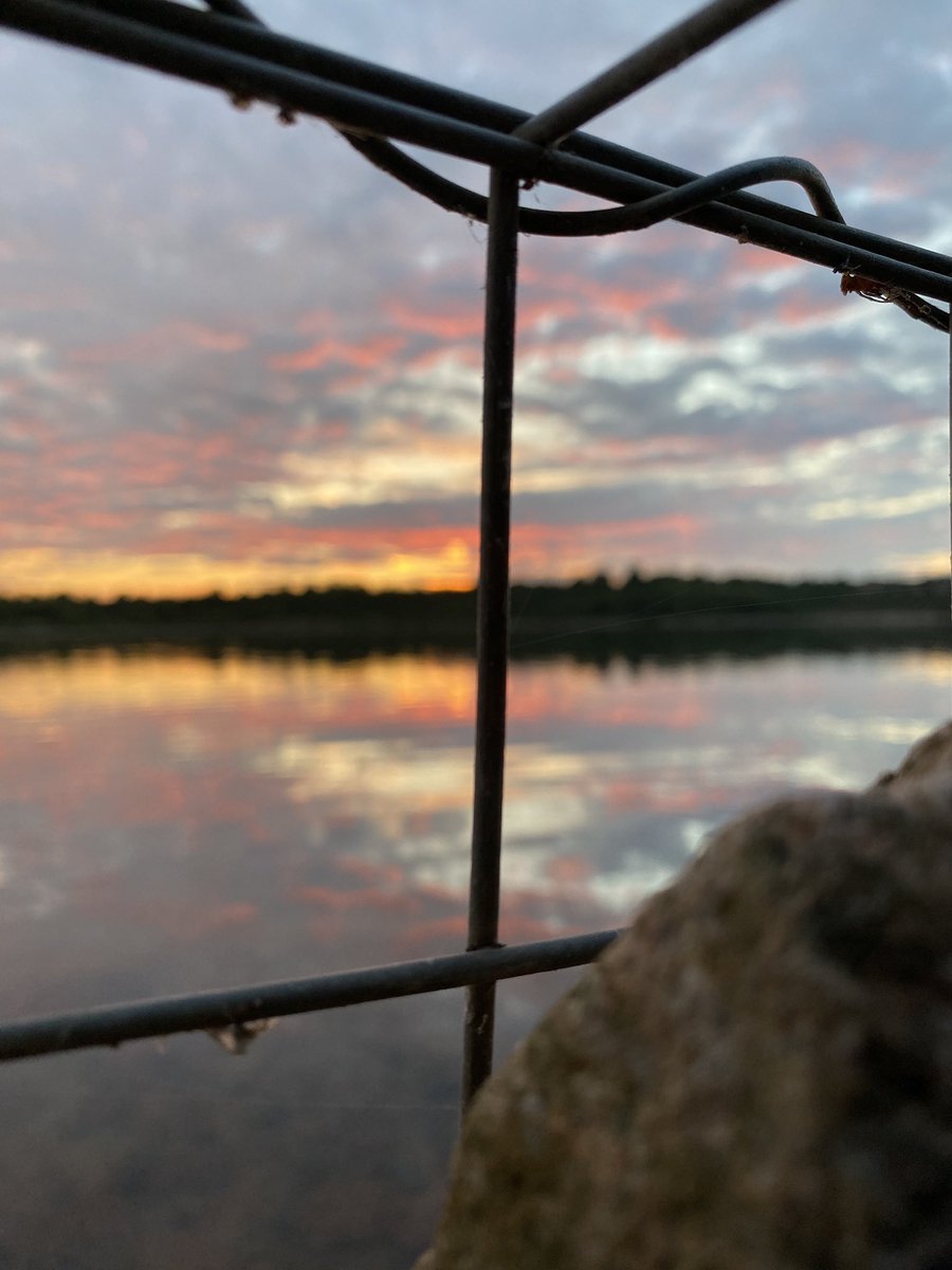 SylixzVisuals's tweet photo. golden. #sunset #photography https://t.co/XsJU948L9s