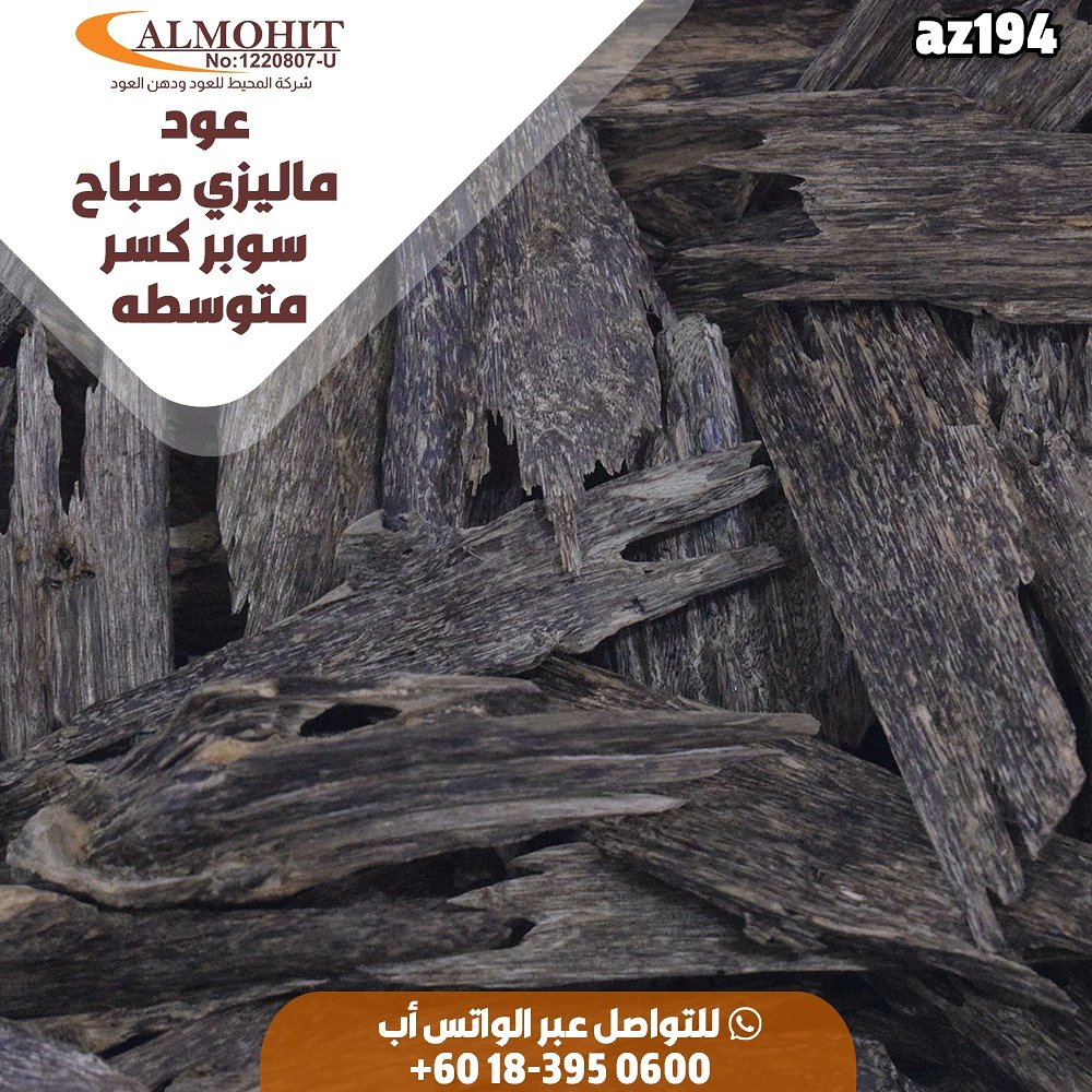 Nora Salem (NoraSs04) Twitter