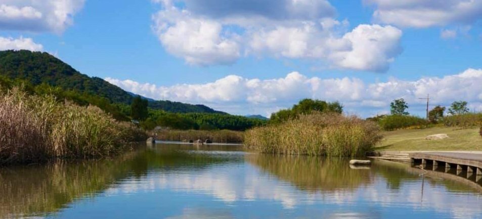 노년 인생

즐겁게 살려거든
친구(배우자)건강
많이 챙기세요

뒤늦게 건강타령
해봐야
이미 버스는 지나간
뒤 랍니다

천하를 다 잃어도
뭐니뭐니 해도
건강이 최고다.