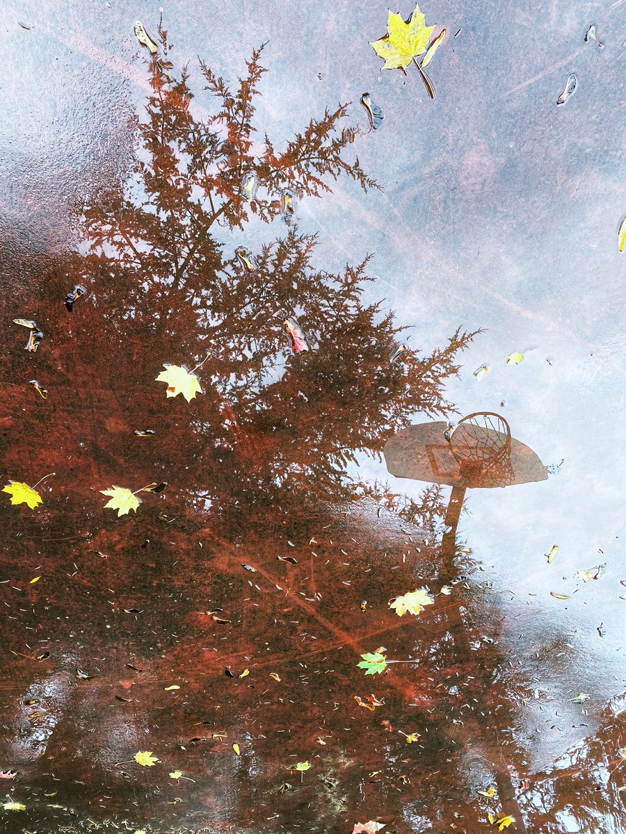 RainyDayWomanOR's tweet photo. #PDXfall vibes. ๐๐ง๐ https://t.co/ml4q4Xg5rg