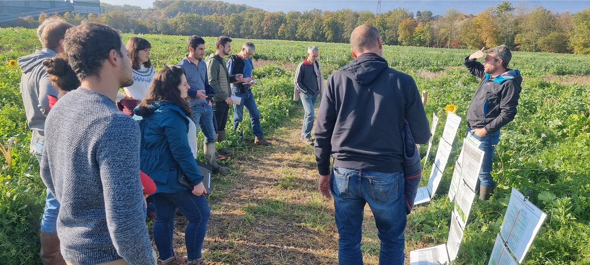 Belle visite avec les ingénieurs réseau <a href="/Dephy_Ecophyto/">Réseau DEPHY</a> de la plateforme d'essais couverts végétaux de #AgriGenève, découverte des mélanges d'espèces testés et des itinéraires techniques adaptés🌿🌻🌱🌻
