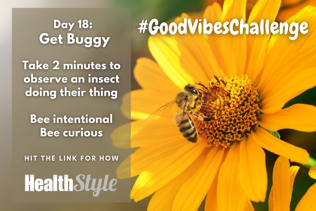 HealthStyleOz's tweet photo. #GoodVibesChallenge: Day 18. Get Buggy

Take 2 min out of your day, find and observe an insect doing its thing. 

https://t.co/ppv4yikJFC

#GoodVibesOnly #naturenurtures #appreciatebeauty #transcendance  #hope #optimism #gratitude #excitement #adventure #mindfulness #awe https://t.co/7eTS1VLYK0