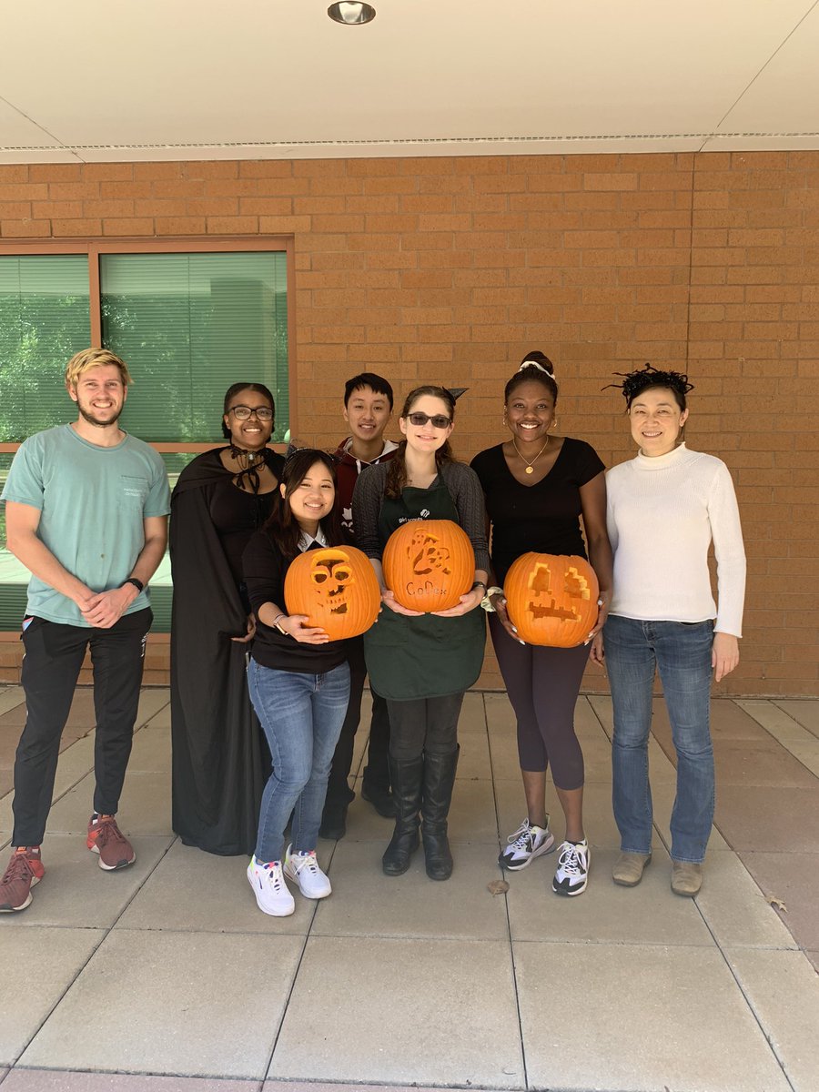 CoDex Lab tweet media