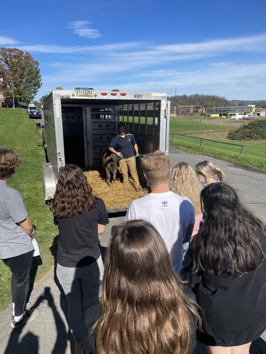 Warrior Run Jr/Sr High School tweet media