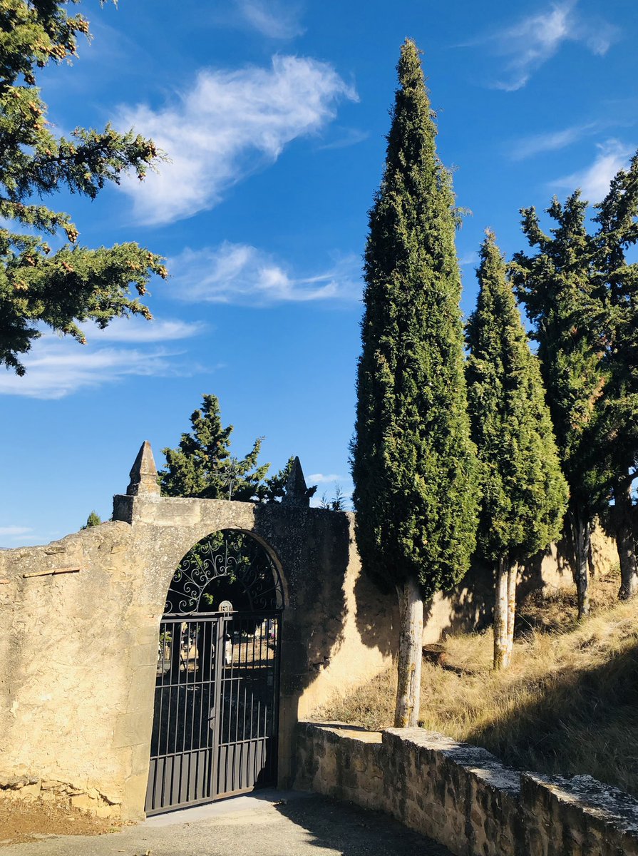 Nuestro cementerio y nuestros muertos, siempre presentes y muy vivos en la actuación de gobierno municipal. 🖤