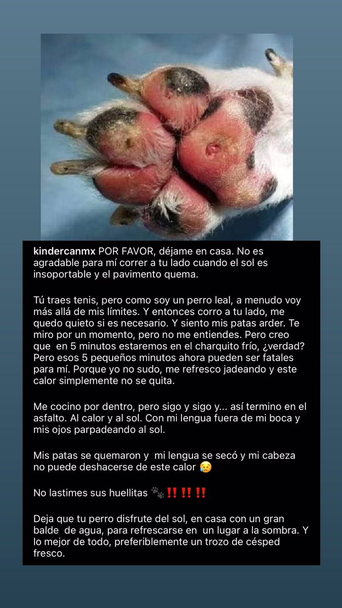 pauligentil's tweet photo. Compartan ✨🙏🏼🥺 https://t.co/Hl7MPimq7o