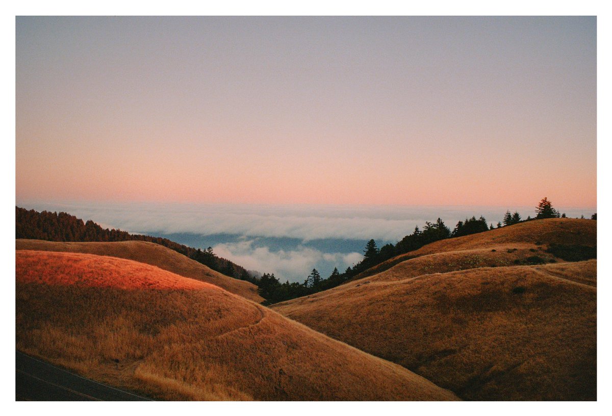 joe greer tweet media