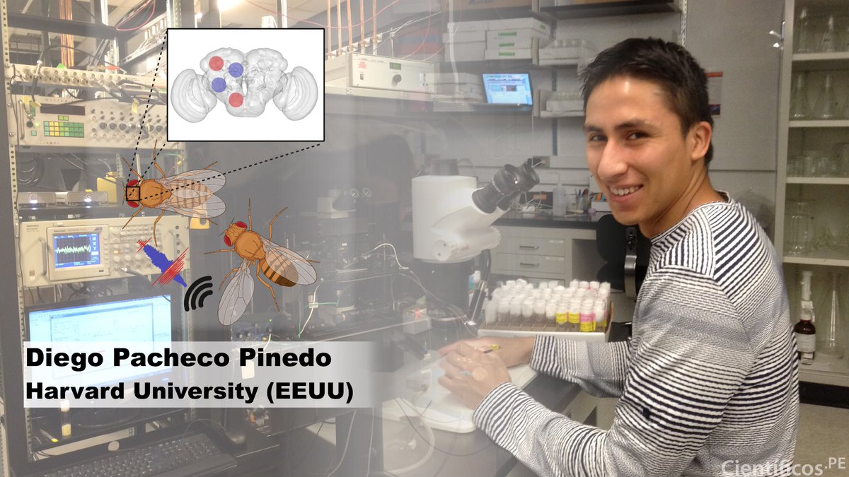cientificospe's tweet photo. Buenos días comunidad!! Para nuestro #paperperuano de esta semana queremos compartir un artículo publicado en @NatureNeuro por @dpachecopi #CienciaPeru Disfrútenlo!! PD: No se olvides de RT!! https://t.co/bOAvTZgAuH