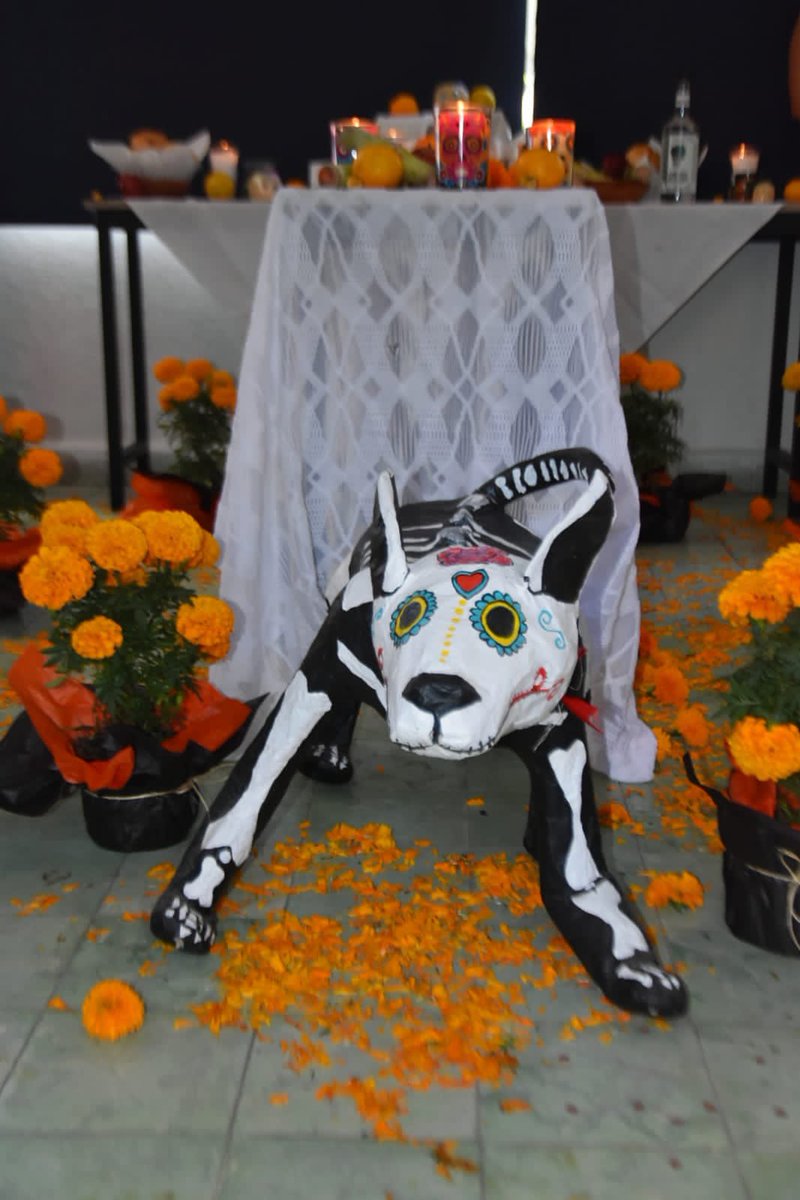 erikaconectate's tweet photo. !Vivamos nuestras tradiciones! #México #Morelos No podemos dejar de disfrutar el tradicional pan de muerto, mole, tamales y todo el conjunto de elementos de las #Ofrendas #DíadeMuertos asistí como jurado en el Concurso d la Entidad Superior de  Auditoría y Fiscalización (ESAF). https://t.co/M09YHcK89r