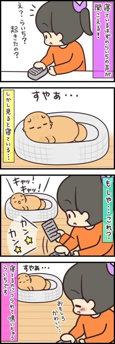 生活音に"つられ鳴き"する猫、夢の中でも会話してるみたい!【連載】もふもふスコたん#197|ねこのきもちWEB MAGAZINE https://t.co/XCF4NJcHvy