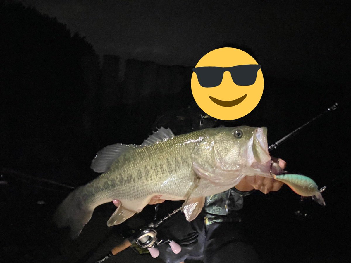 KfihsingKAIGYO's tweet photo. マグナムクランクで到着2���で55.52UPキャッチ😆
どっちも枯れかけのウィードほぐした瞬間にドン💥
本気喰いしてる…
#ブラックバス #琵琶湖 #北湖 #tulalajp 
#ショットストーミーマグナム #釣り https://t.co/Qp0pToi7so