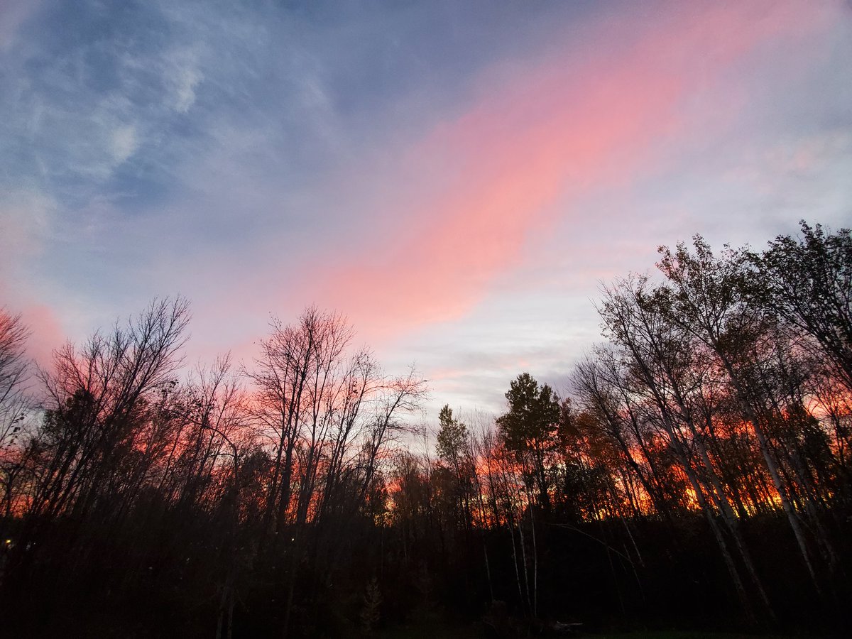 MrsBancej's tweet photo. Our backyard tonight. ❤ It's the little things. 😀  @MrsBancej @OTHSPANTHERS @OCDSB  #natureisamazing #fallskies https://t.co/6Ierao9z74