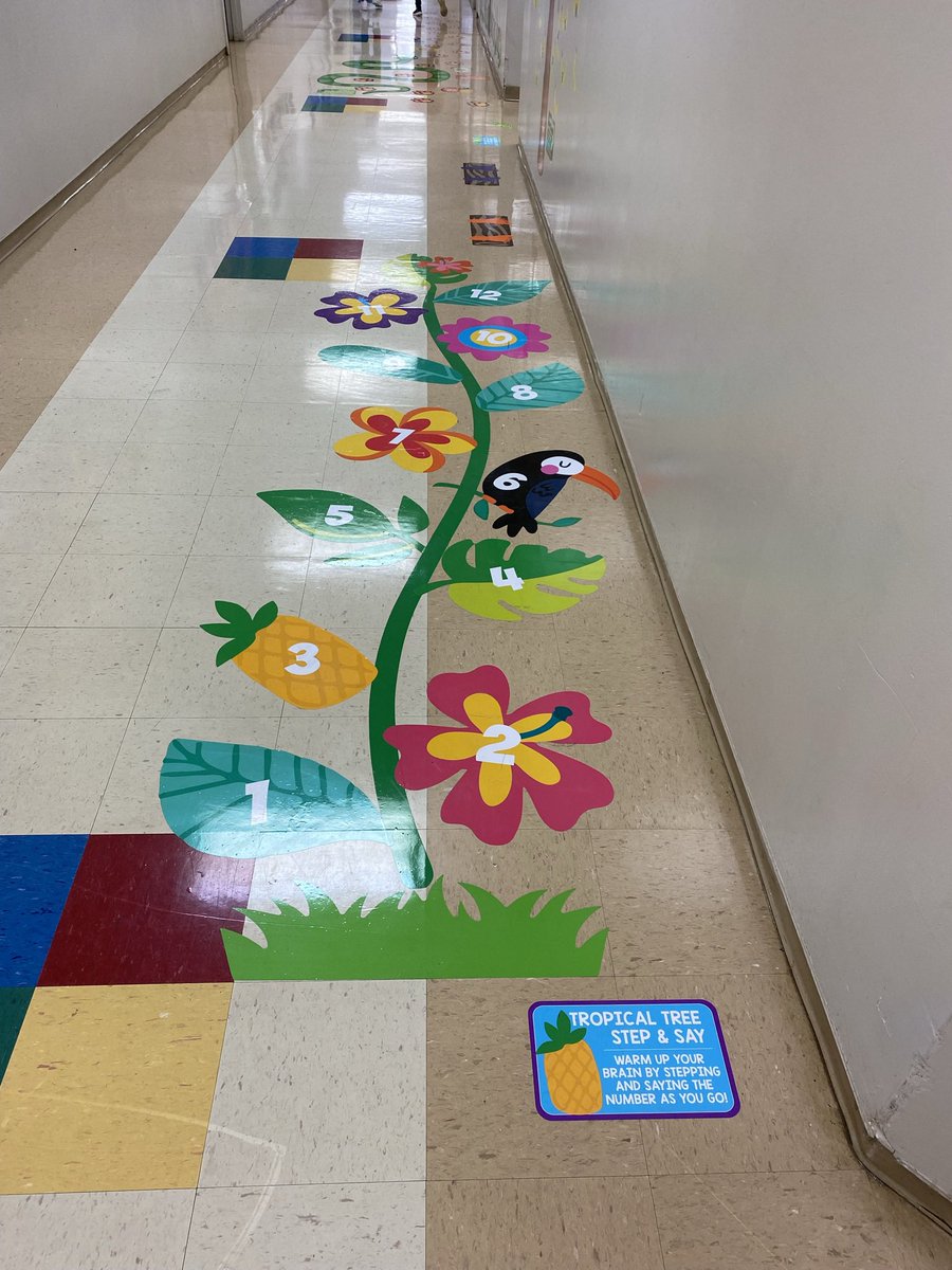 abennett1266's tweet photo. Check out the new “Sensory Path” purchased by Stokesdale PTO…🥰@GCSchoolsNC https://t.co/S8ZvOyzgd6