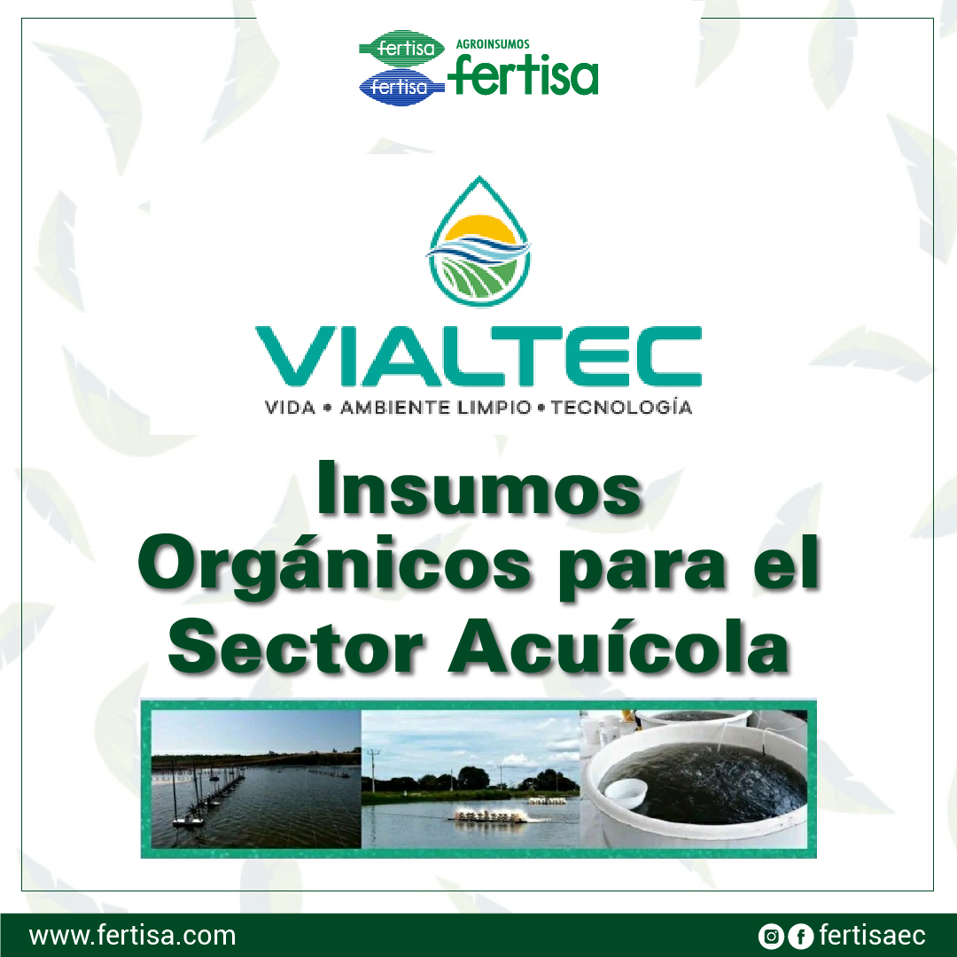 fertisaec's tweet photo. #Vialtecsa, Sustentabilidad ambiental con nuestra línea acuícola #Fertisa 🦐💧🍃
Cotizaciones y más información de este producto en el link en la bio🔝
◼
◼
#Fertisa #Ecuador #camaroneras #acuacultura #acuícola #camarones #piscinasdecamaron #vialtecsa #ecofriendly https://t.co/kwHLTUSNVj