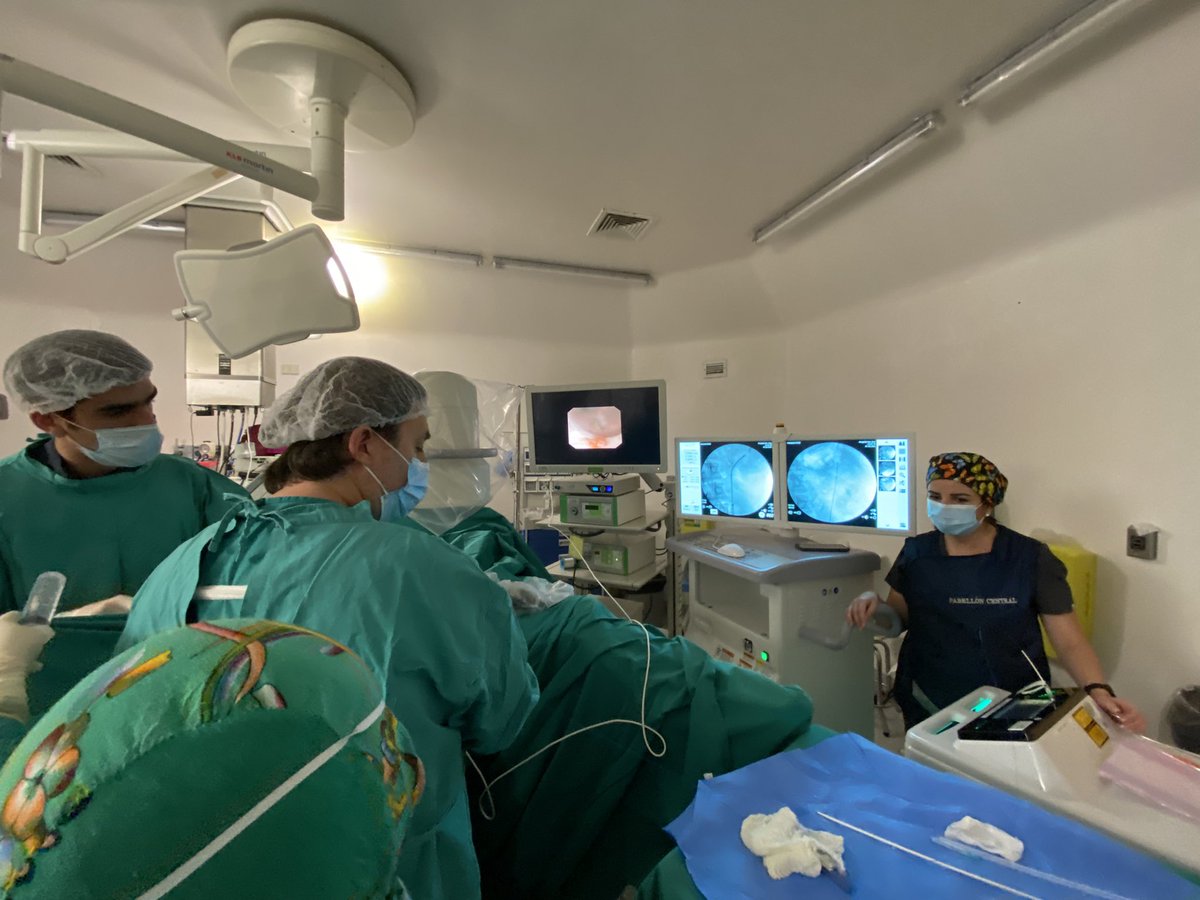 sulusanjose's tweet photo. Hoy con mucha alegría recibimos la visita de nuestros amigos del Hospital Parroquial @natxo73 @cmordin75 realizamos #PCNL en supino como técnica 0-90 y pudimos compartir muchas experiencias. Agradecemos su vista en esta 3era Jornada https://t.co/3Ji6XjMw9X