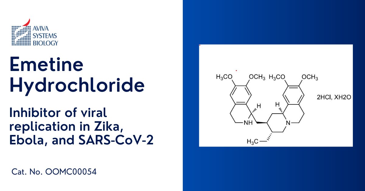 AvivaSysBio's tweet image. In need of Emetine Hydrochloride, a popular research compound used to inhibit protein synthesis and viral replication of viruses such as Zika, Ebola, and SARS-CoV-2?  In stock &amp;amp; ready to ship! avivasysbio.com/emetine-oomc00…