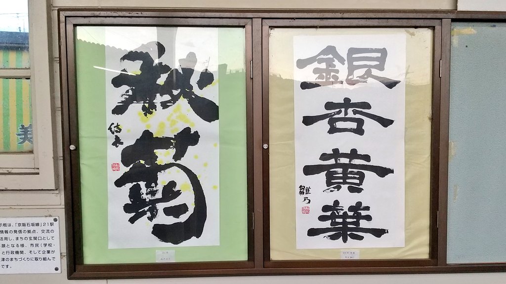 今月のZギャラリーです！秋らしい植物二作品となっています🏵️🍂
近頃更新が遅くなってしまい申し訳ありません💦少しずつ調整を加えていくので、これからもよろしくお願いします🙇