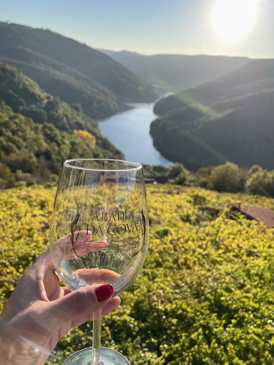 saragarcia1978's tweet photo. Me declaro enamorada de esta maravilla #RibeiraSacra 🤩
#Galicia #viajar #viajedetrabajo #sol #diaespectacular https://t.co/1jVH1hdvx8