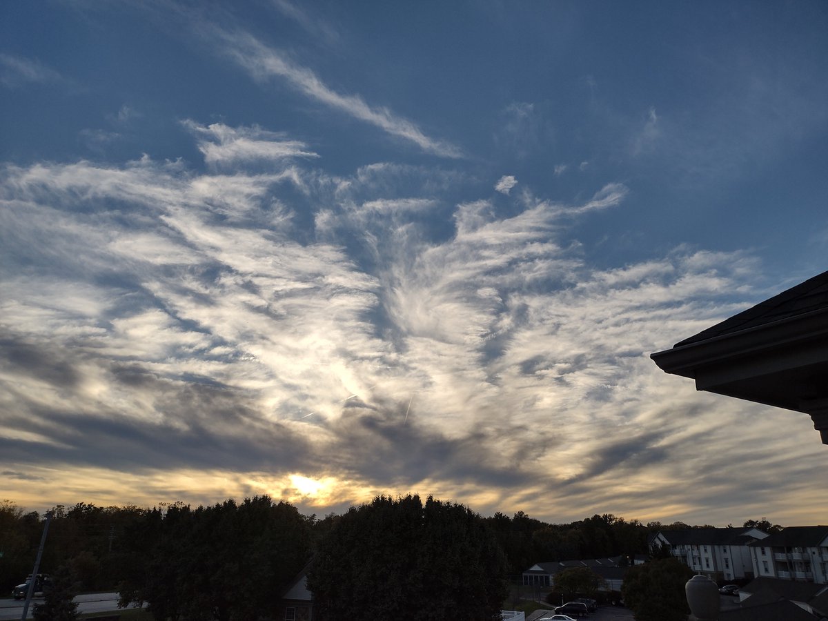 Stacey Ford tweet media