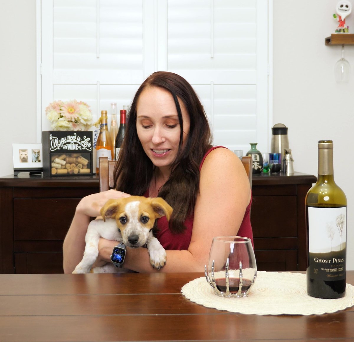 theJordAnomaly's tweet photo. Guess what?? It's #WineWednesday and I have finally uploaded a new video!! And this week I'm trying a red zinfandel and introducing you to my new little one! 
https://t.co/pViGmWX20M https://t.co/tGf3dRvyW0