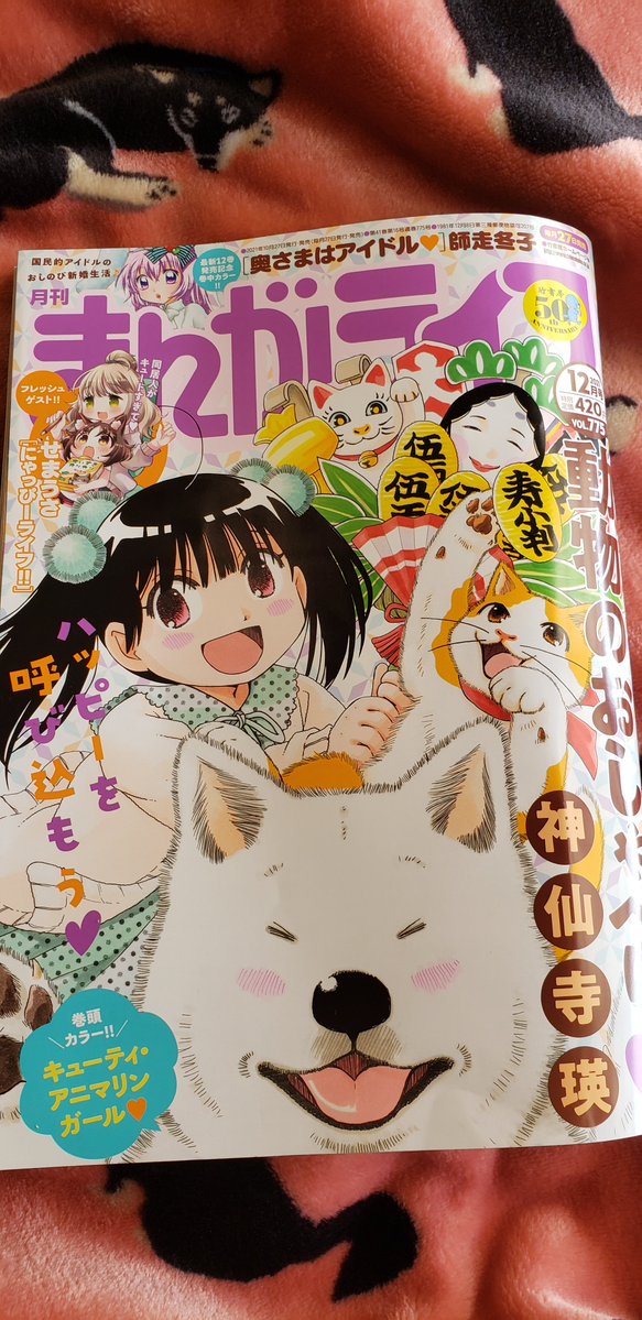 竹書房さんのまんがライフに「にゃっぴーライフ!!」がゲストで載っています!
この作品は以前4コマ王大賞で受賞した作品のリメイクとなります。
まろ美さんとえこちゃんのゆるゆる同居生活を楽しんでいただけたらと思います。
感想もいただけたらもっと嬉しいです。
何卒宜しくお願い致します! 